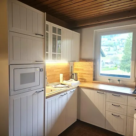 Appartementanlage Thermenblick In & Out バド クラインキルヒハイム